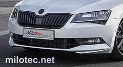 Накладка переднього бампера thumbnail 1