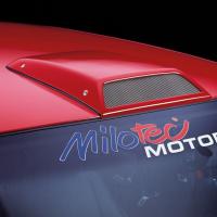 Повітрозабірник на дах thumbnail 1