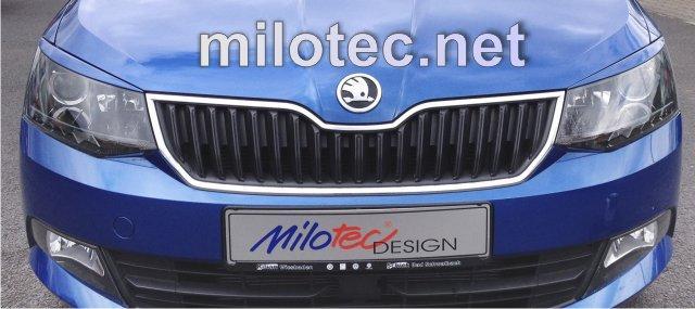 356804 Накладки фар