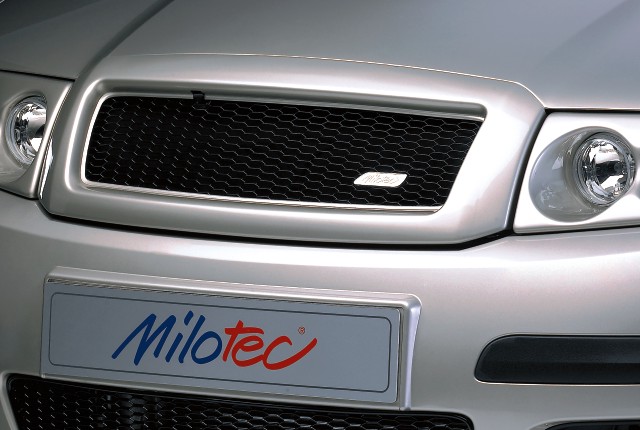 30304 Спортивні грати без значка з кадру