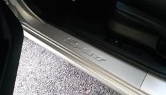 Накладки порогів thumbnail 1