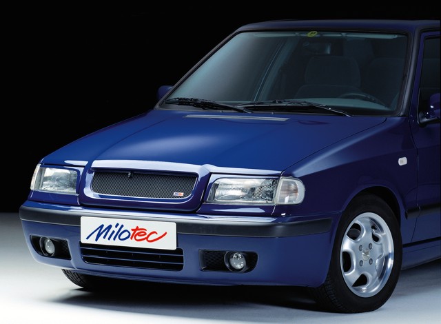 20404 Спортивні грати без значка