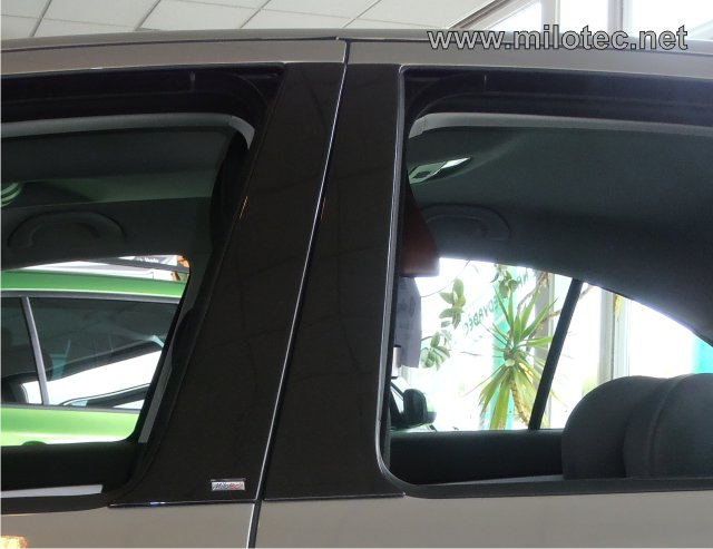 20104L Door pillar trims