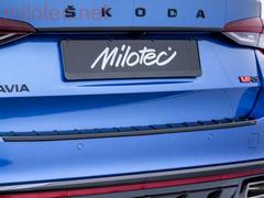 Декоративна накладка над заднім номерним знаком thumbnail 1