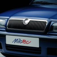 Накладка на решітку thumbnail 1