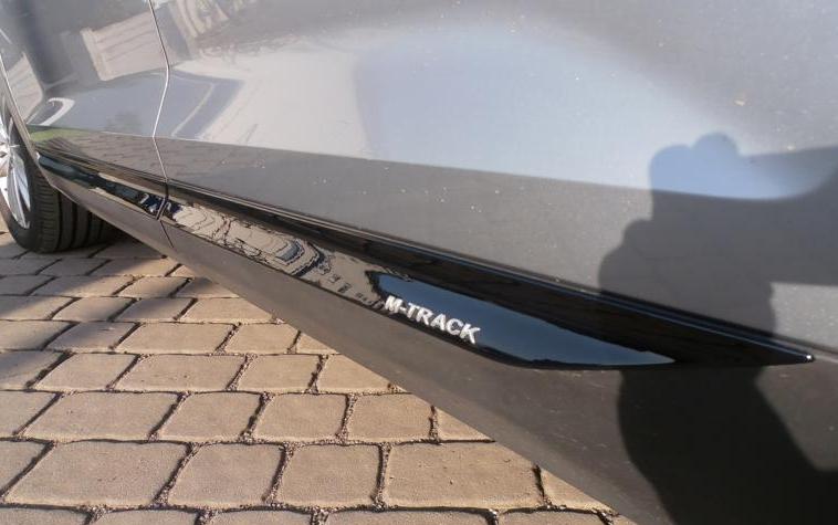 97204 Молдинг бічних дверей