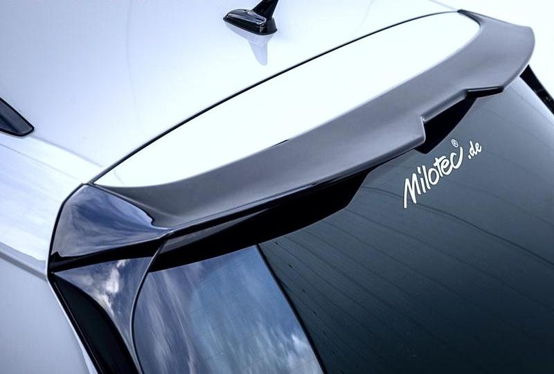 96004 Спойлер