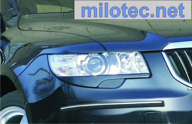 245504 Накладки фар під фарбування