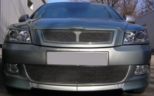 Спортивні грати без значка з рамкою thumbnail 1