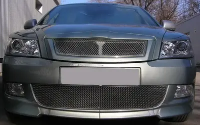 Спортивні грати без значка з рамкою