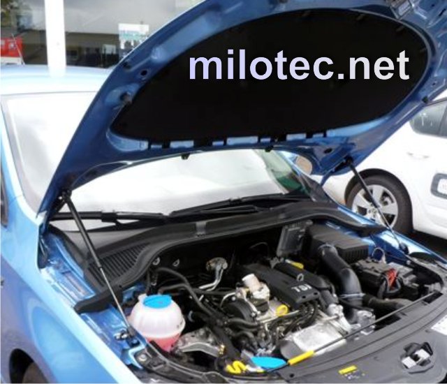 77704 Амортизатор капота