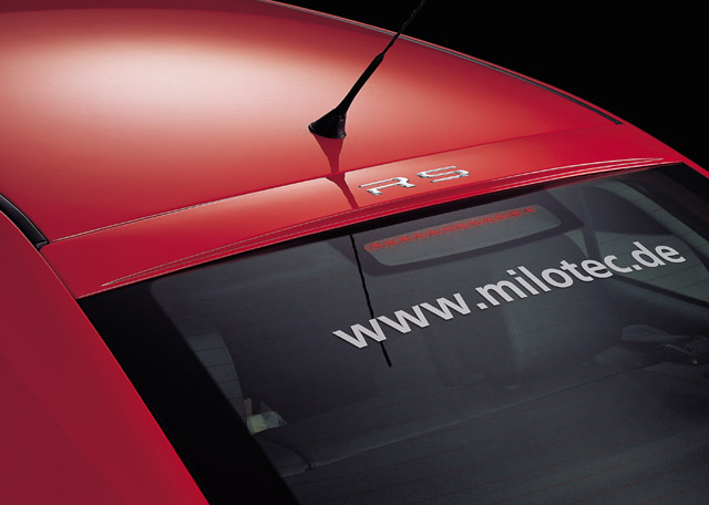 41904 Накладка заднього скла