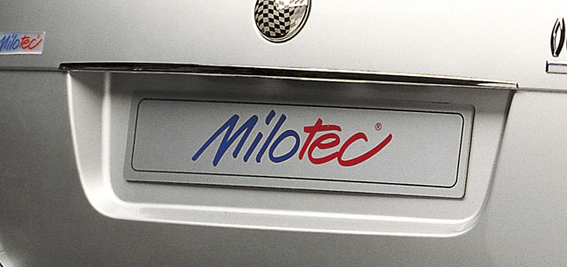 60901 Декоративна накладка над заднім номерним знаком